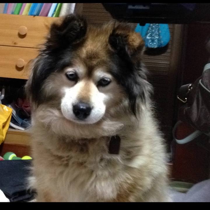 D713aa6f 538e 41ef 9b7b 103b2b60fb9d 1614618231293