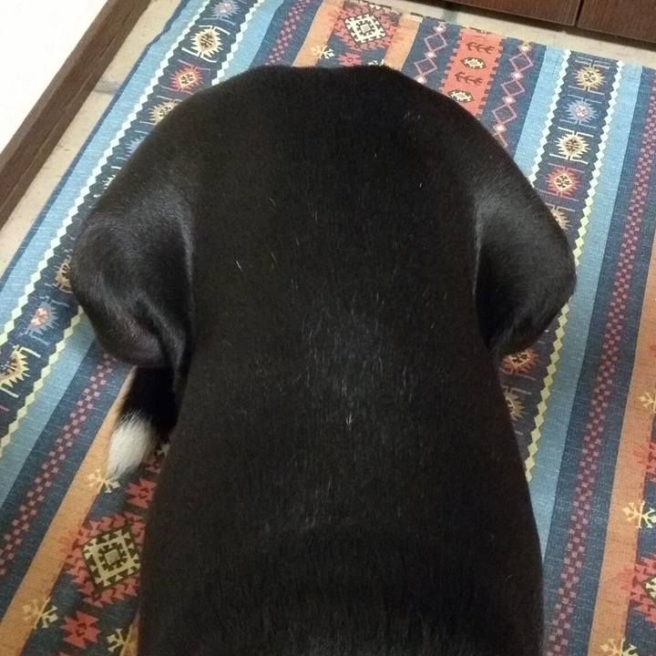 D713c64f 01fb 4534 919c fd15997d5e52 1628490888311