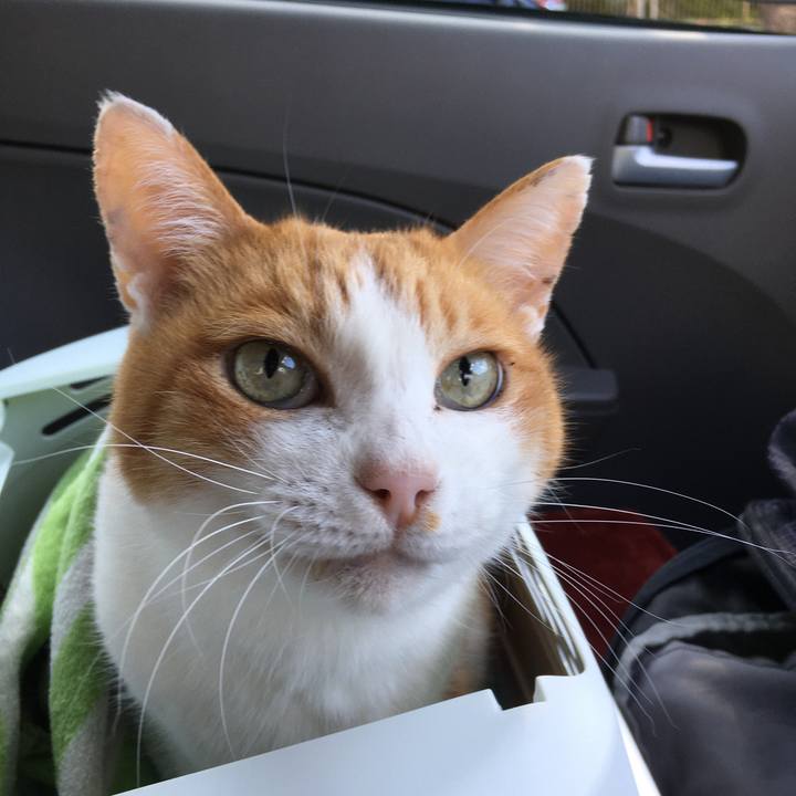 D713d738 587d 4cc1 9f3a 0be0a34998ec 1573029396629