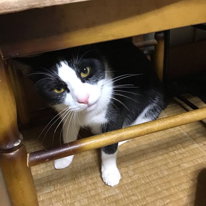 D713def5 995c 4250 abad ef5a53951e02 1652529557526