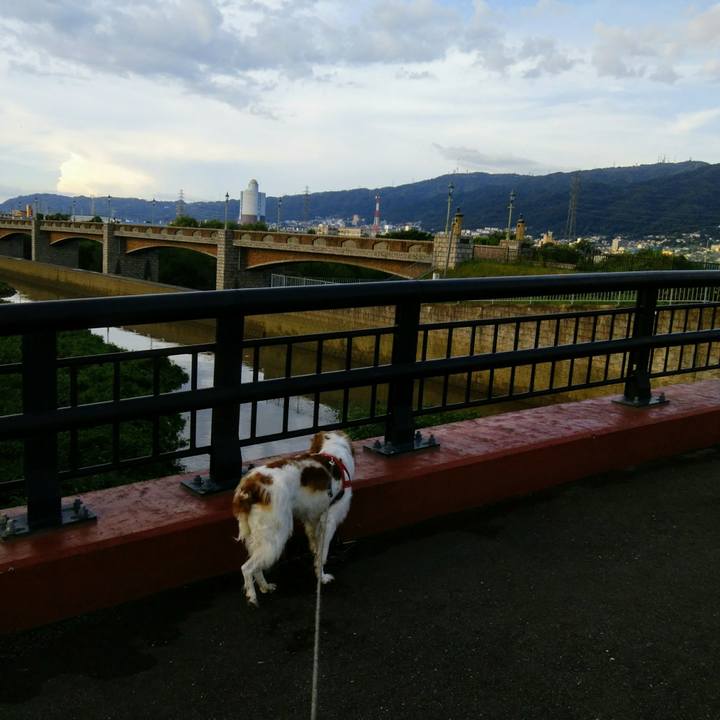 D7140179 41b7 47d2 acce 8a897a7f6dcc 1534246678338