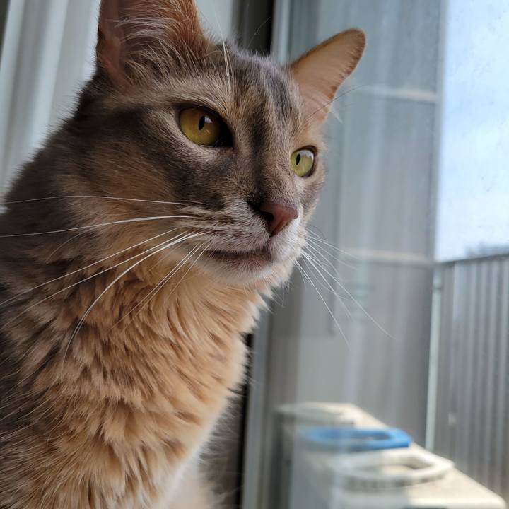 D7141379 2507 4a91 aca0 bb438e618f6e 1650771610113