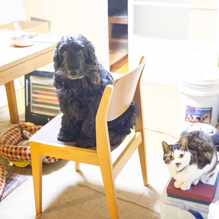 D71420c3 a807 45c8 91ee a52dd18371f3 1553529597156