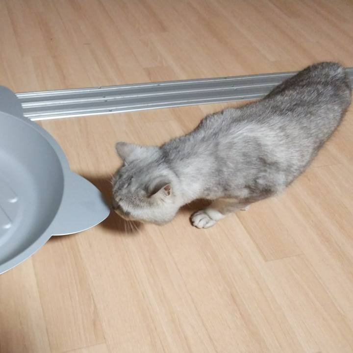 D7142616 2625 47b4 b0c9 dcd91cfc8845 1526641566912