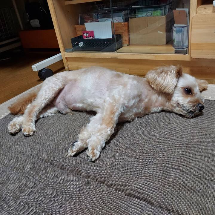 D7144ae4 1fe0 4a65 aed8 76771d1e4839 1630462769559