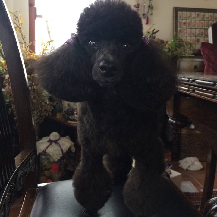 D7145baf d9c1 4389 af87 ed90953ecc93 1569210514354