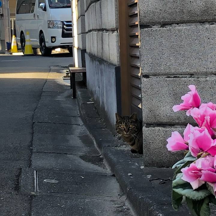 D7148051 4adc 4455 862d 9be502d574fb 1614441099433