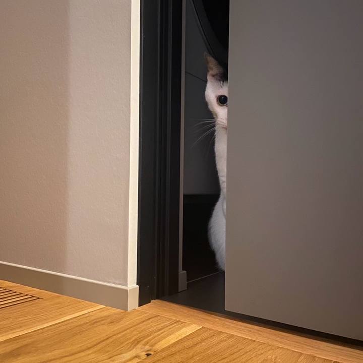 D7149b95 a218 46df a519 32e92a100844 1751492147979