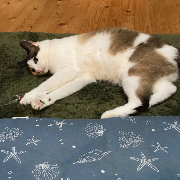 D714ae7c 3768 4e43 a388 17585e3bb2e5 1580875859208