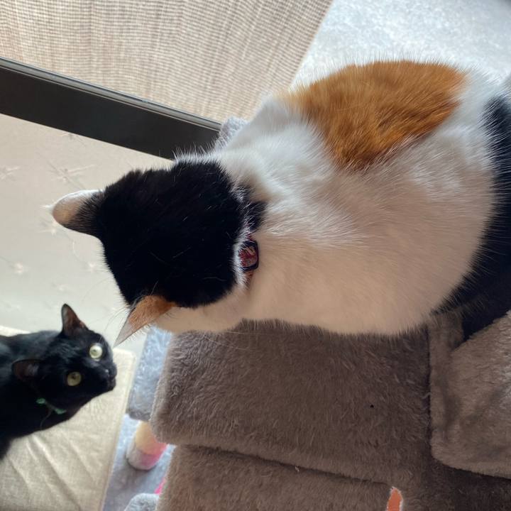 D714d70f 12f3 4439 a721 ab20ce95fcb1 1644134469616