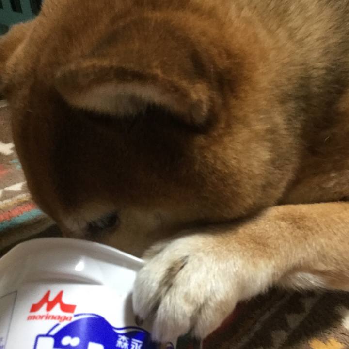 D71501cf a99f 4e45 ba60 5d3c84e99412 1555682682326