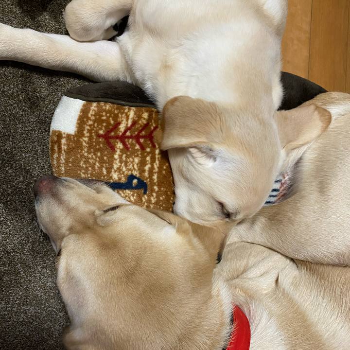 D7152cb5 c5ac 488c adf5 ca949e512c1a 1613292719039