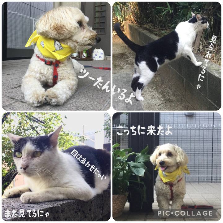 D7155c66 035b 488f aab6 13bbd1d1d563 1692661932697