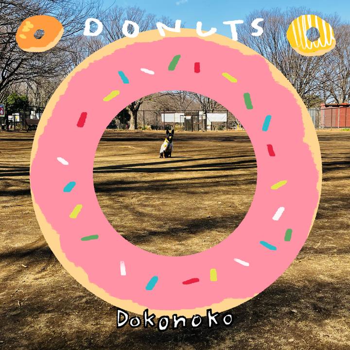 D7156b01 528a 41f0 b316 5874e5886ba0 1744324904355