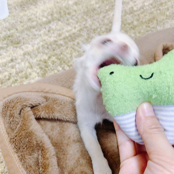 D7157558 97e3 4d34 92d6 aa7facf2f1be 1591179444312