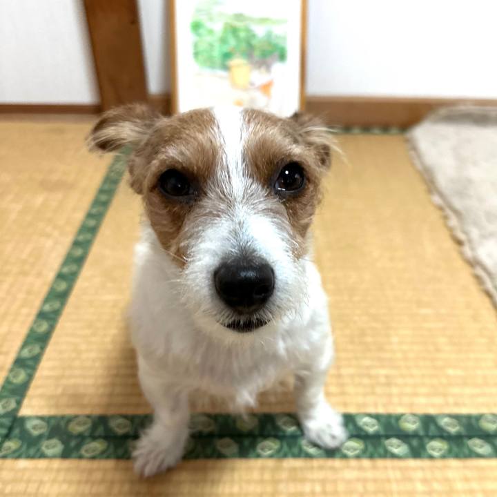 D7157ac4 fbd7 4a22 882a 2e81a0c73570 1761171423250