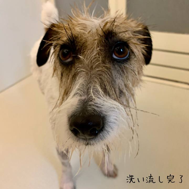 D7159576 9afa 44ee 841c 23199ec87daa 1683470545405