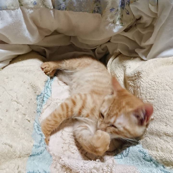 D715d585 3d11 433f 9f7a 9190dc92e3af 1631968464926