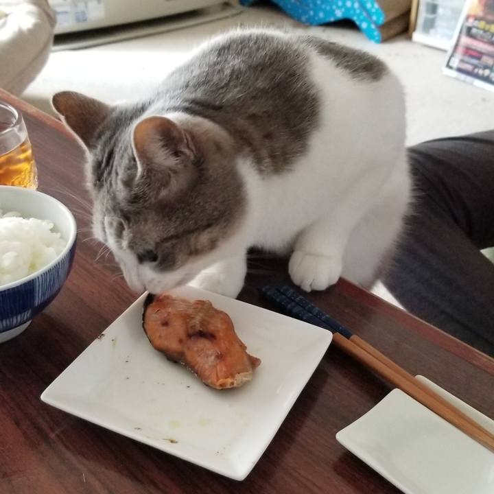 D7160c70 3d43 43b6 9b62 7bd7327d4b84 1603106192235