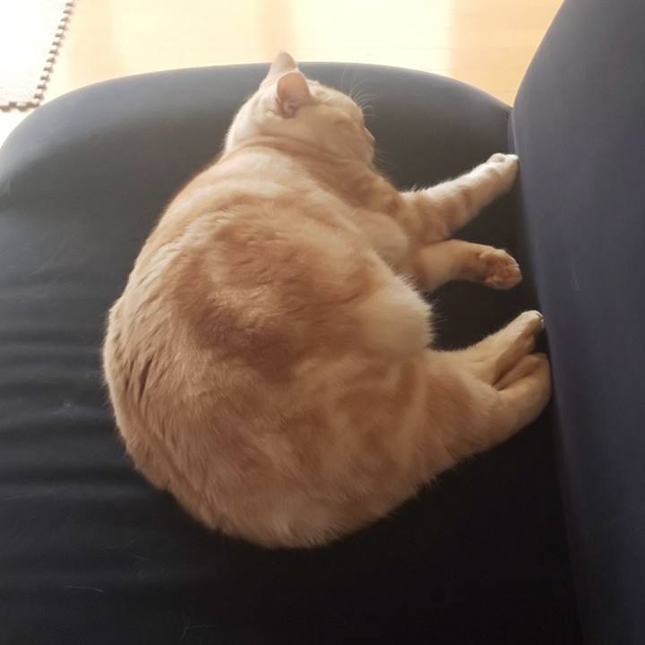 D716243b 1b14 4f59 995d 2f4621165dd3 1544058004116