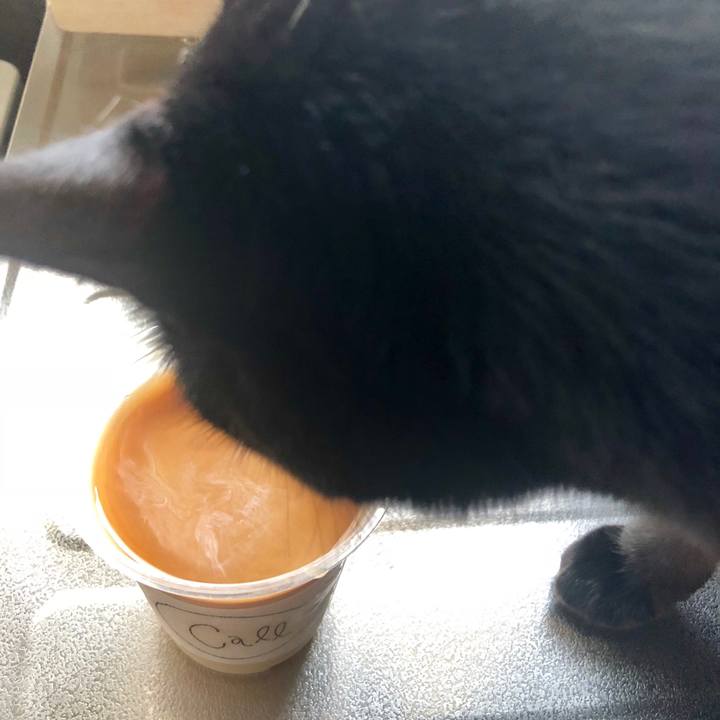 D716322f 2fce 4236 859d 2f368392e06f 1531267704320