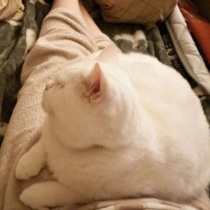 D7163fc3 6cc4 43b9 a2ac 4e62547ace2b 1517043865799