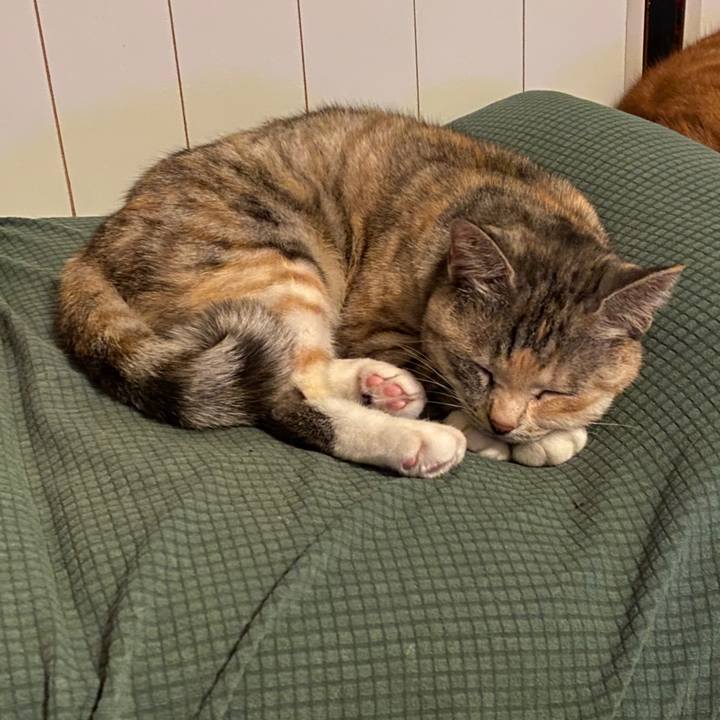 D7164c83 27e4 4ea3 ade4 1523d12356fb 1578533984717