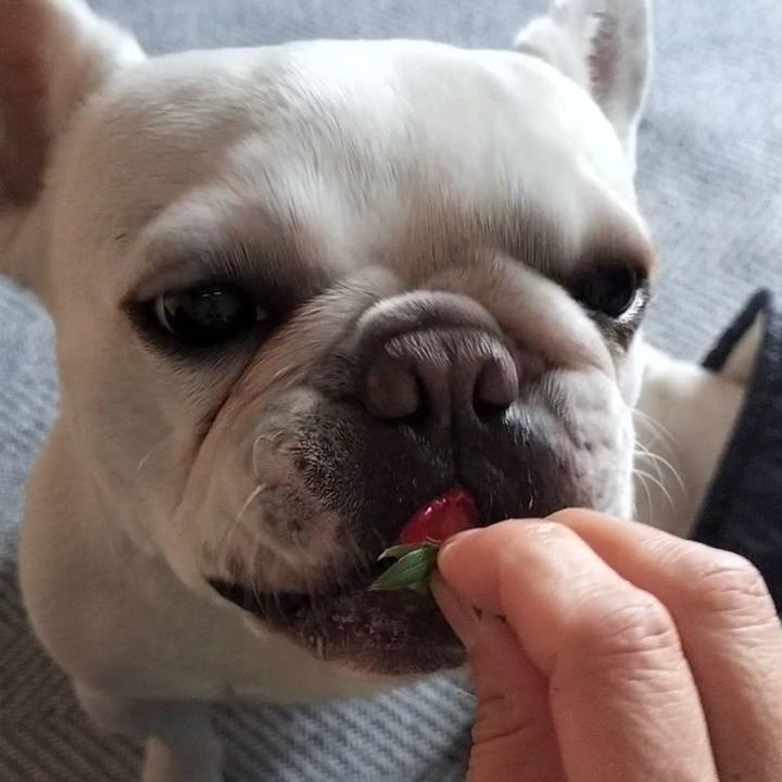 D7165129 4e94 4d10 8f35 cc7395accc70 1679351373779