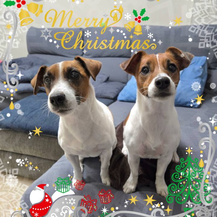 D71656e4 cb44 4192 a85e e0775c794c0d 1766669329642