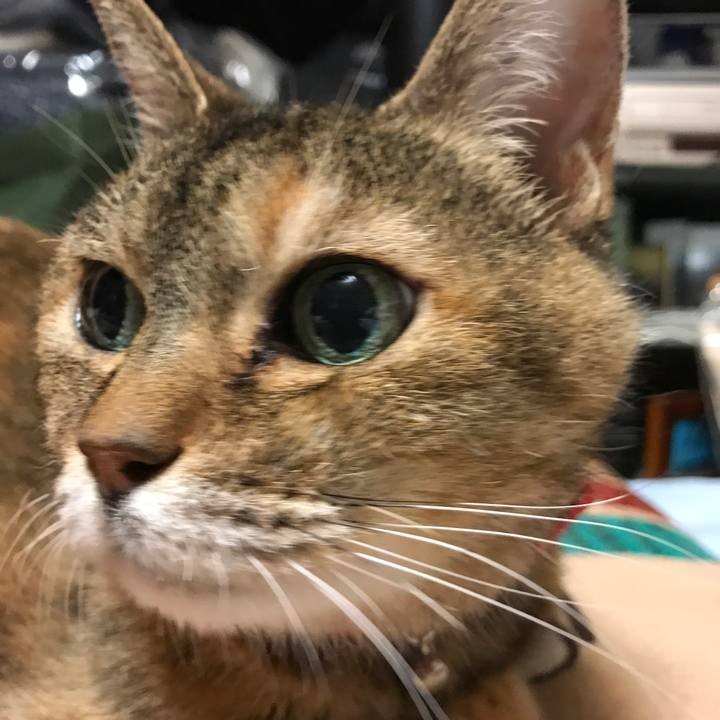 D7167150 a7c4 4b42 96cf 4d3d2f72e11d 1532257605848