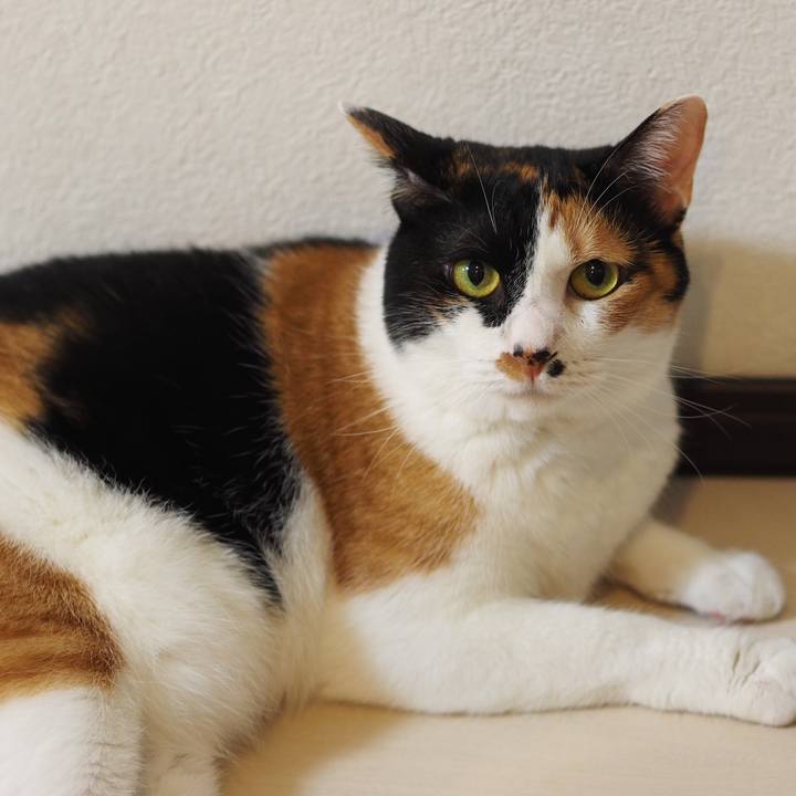 D7168a4d a164 4add a918 f527bfe944c5 1565272166966