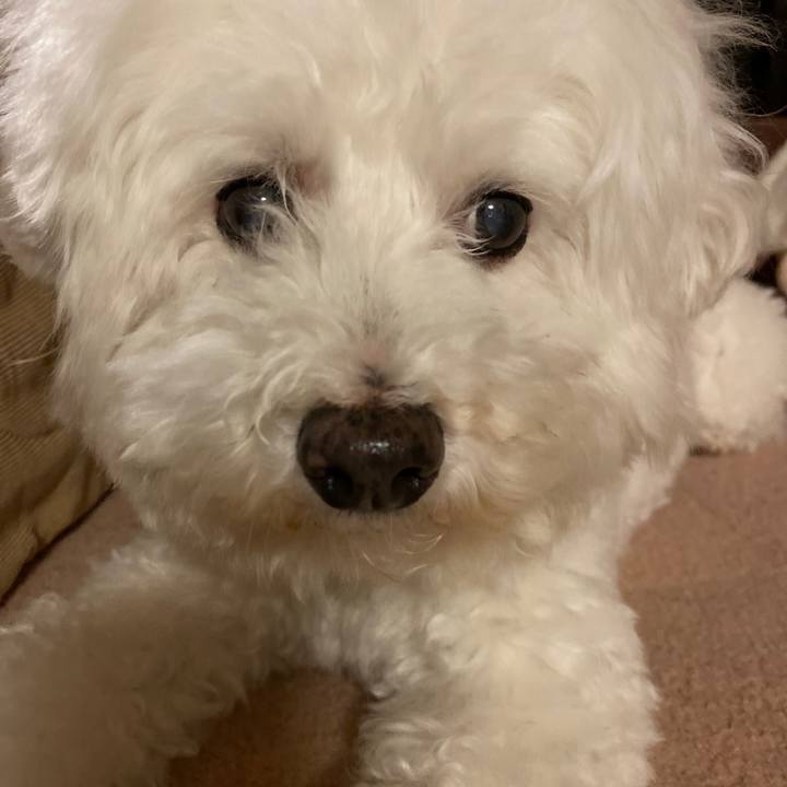 D7169501 c356 4f17 8467 86b5dfa1d678 1635929939428