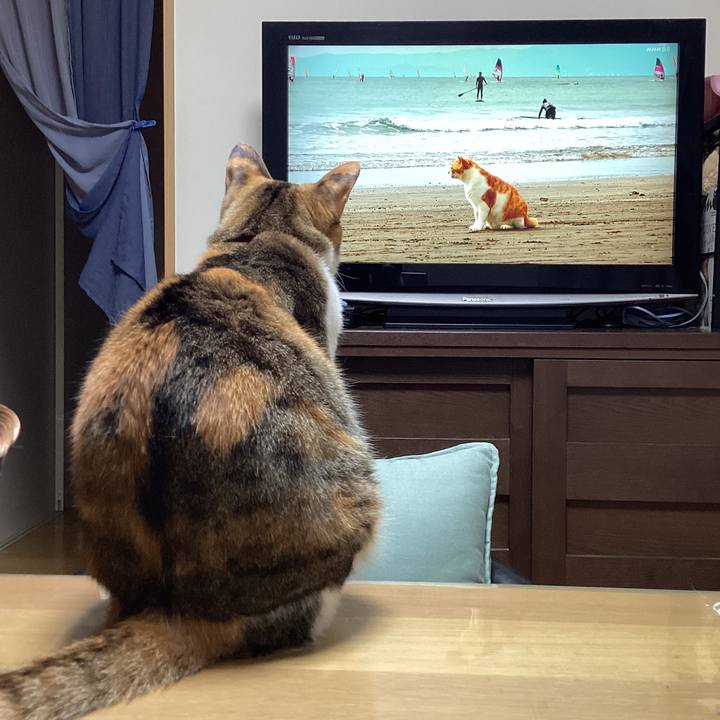 D716de09 ca07 471e 8645 c4605b5c450c 1702683992701