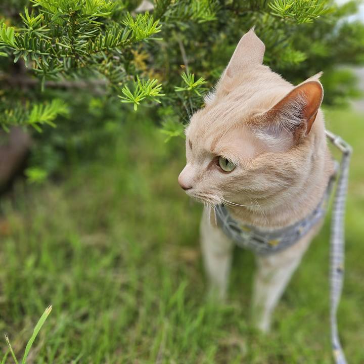 D71707b7 93d4 489f 943d 8040537e4e71 1717211149052