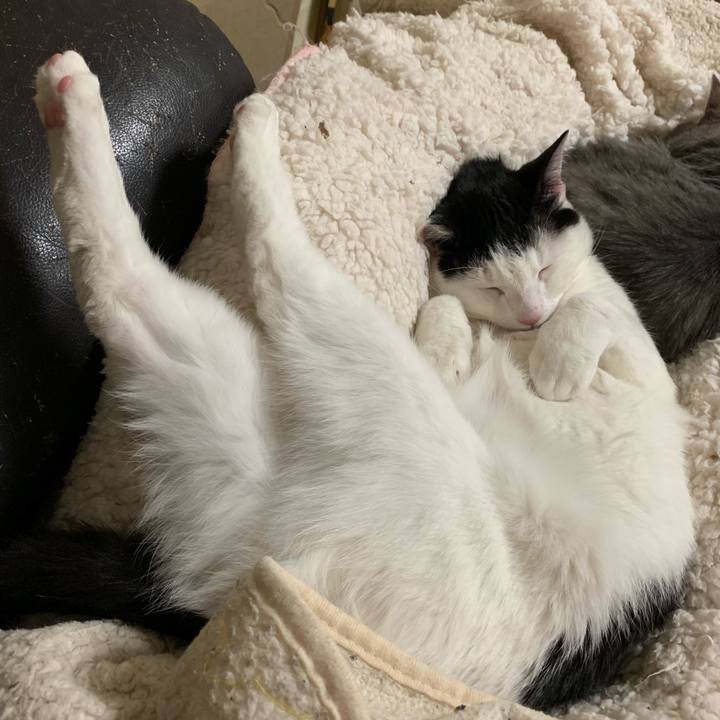 D717513e cca2 4f6b bb7a 2fc6df380acf 1553834316159