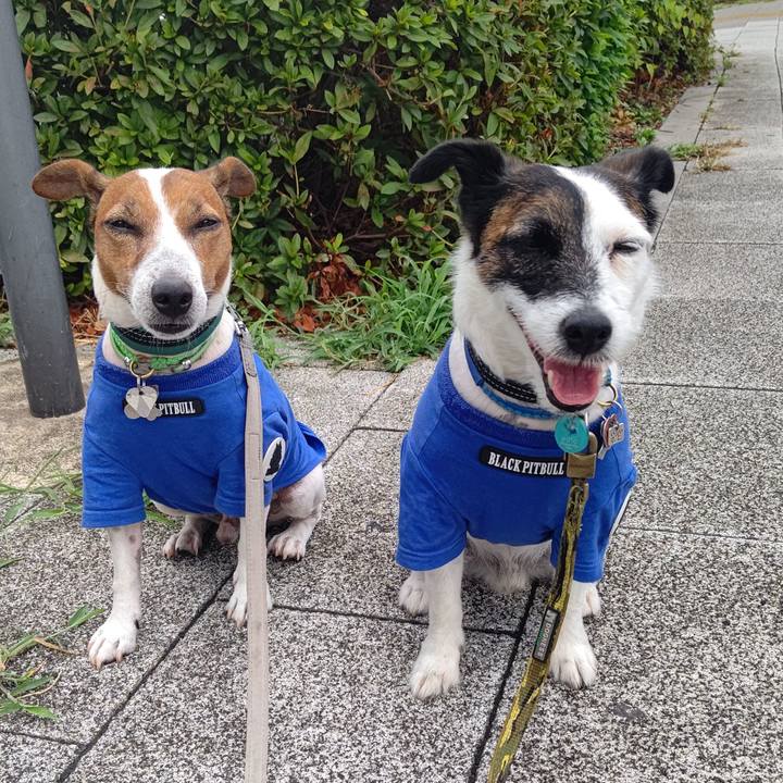 D71765ef 66b1 46a0 a679 bf33fec976b4 1692056888457