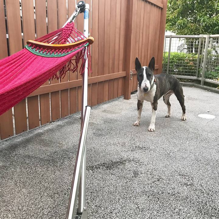 D7177150 4d8c 4d33 a17b adf46f637901 1525521613946