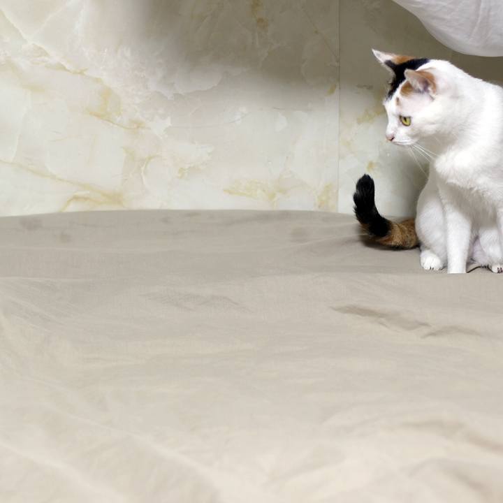 D7178202 811b 4c50 b9a8 cb0c54f3cc09 1601333756315