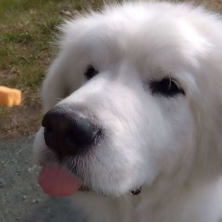 D717a1e8 8666 45e1 9793 d4c254e033ae 1674791929012