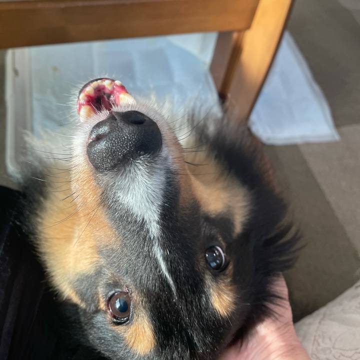 D717b9e7 ccc7 41dd 85ba 5ea7d702fc87 1634680926897