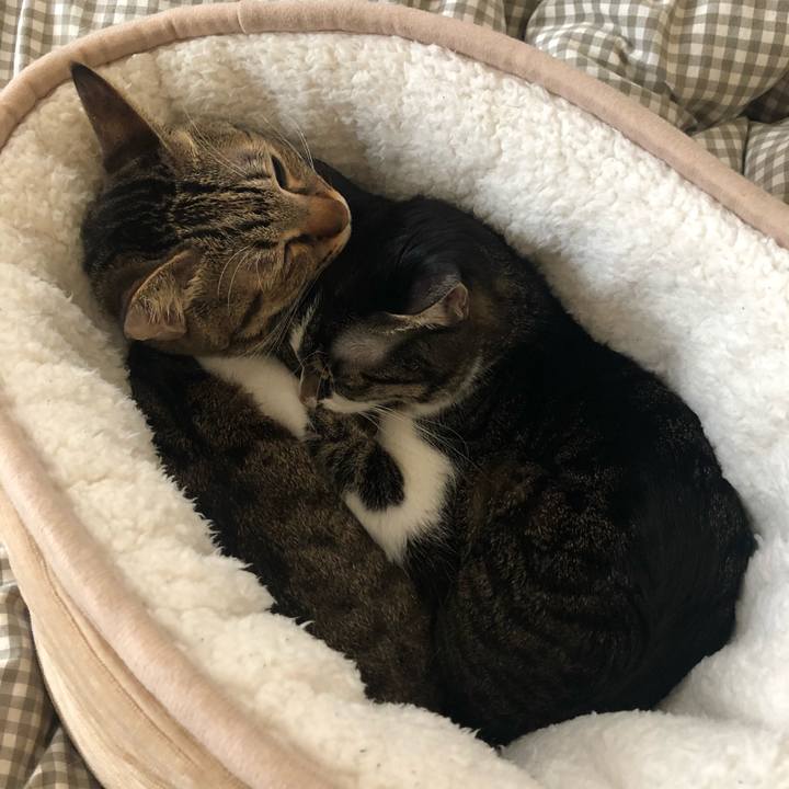 D717c6d9 523d 4dc9 b52e ea2389b1cc24 1582144111416