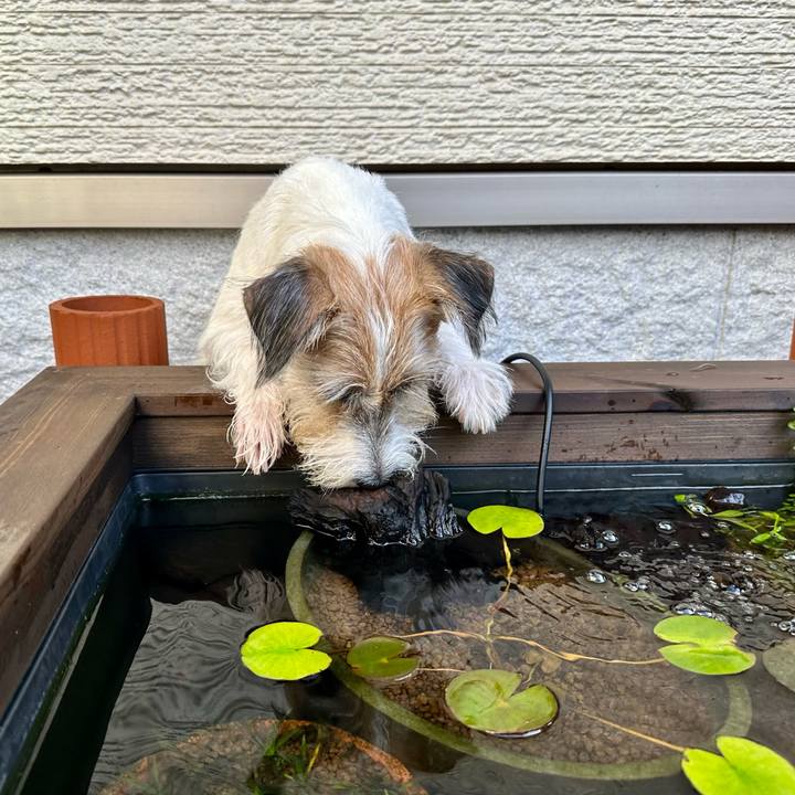 D717c7b1 2bd7 486d a43b 035086abfdda 1694521691553