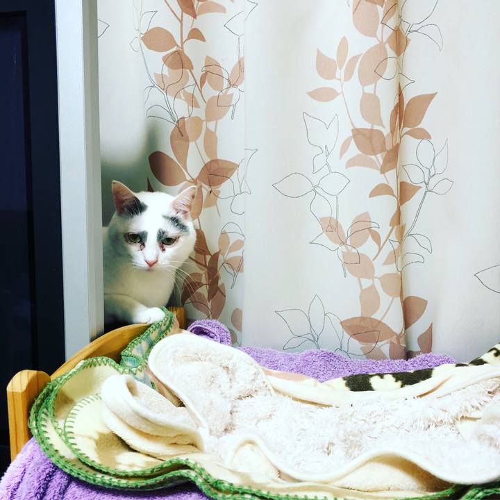 D717dd76 7387 4af7 9467 0ea0107377e4 1522325236842