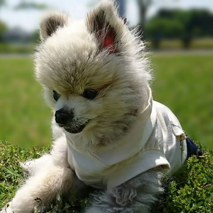 D717e6e1 918e 49d4 b3db 7b90b7fe6e4b 1524976802789