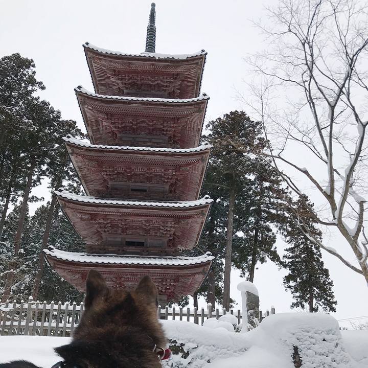 D7182d4b 807a 4ba1 a527 4f5085efc3cc 1516847758554