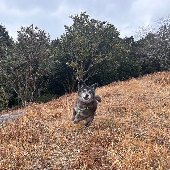 D71832cf 6c05 49d1 9868 de1499fe775c 1772444309908