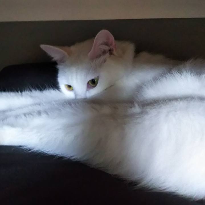 D7185ed9 8c0a 4060 b317 33f7e48be244 1627896669191