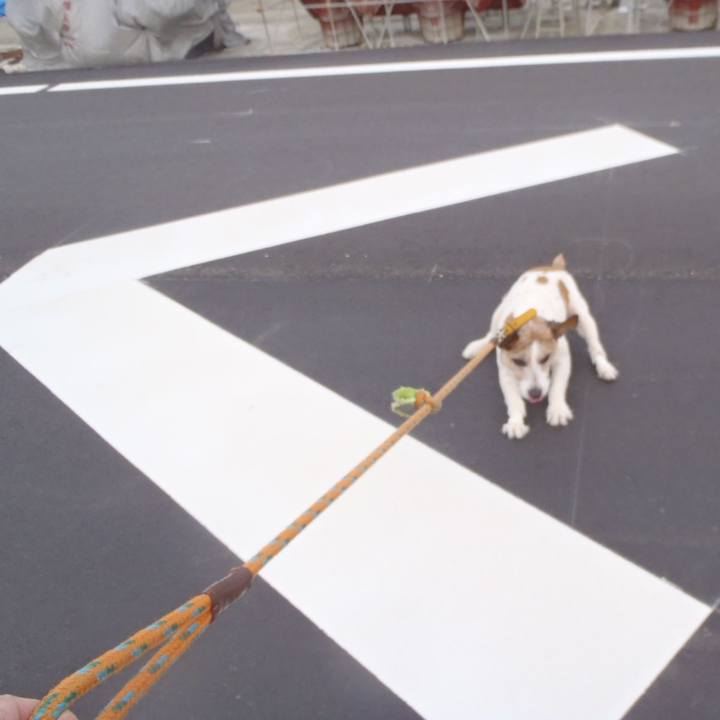 D718651c b555 41fa bb59 fe8cf61ddd53 1512963569988