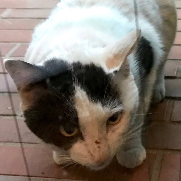 D7186b35 01a2 4f36 a661 320f0b86c177 1526626207845