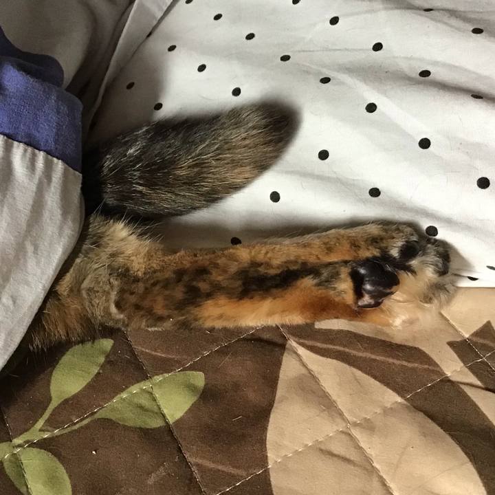 D718867b 2dfa 4cdb ac7c f3e90c5df005 1590461189949